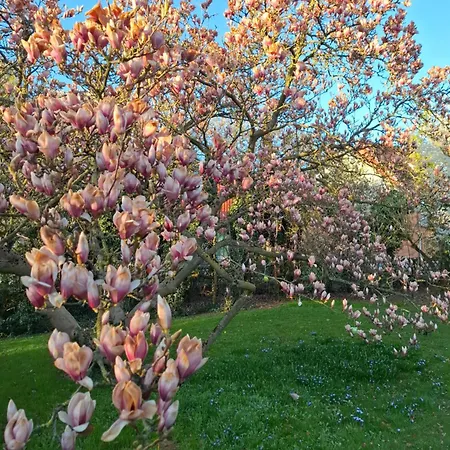 Richard Σπίτι διακοπών