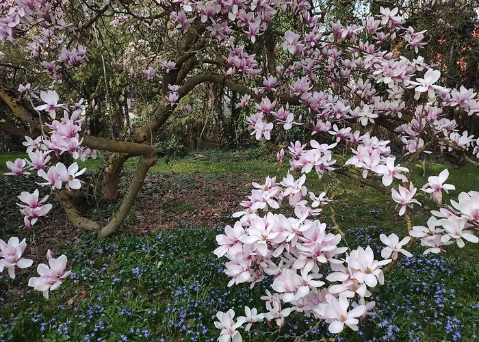 Richard Hébergement de vacances *